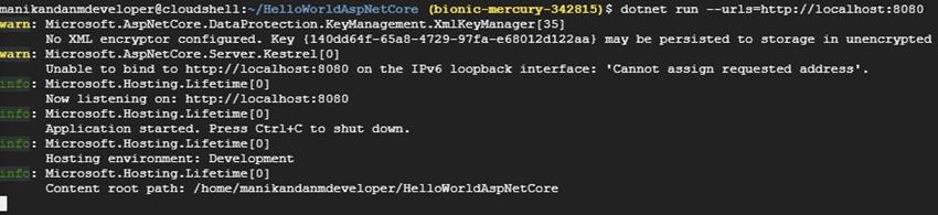 Building and Launching an ASP.NET Core App from Google Cloud Shell
